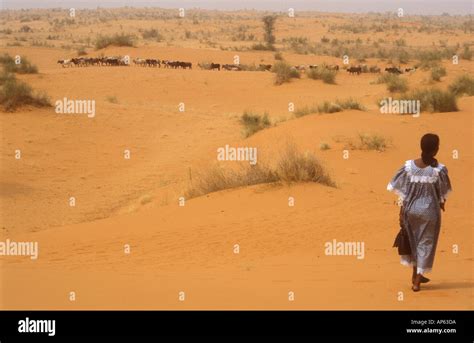 Caminando En El Desierto Fotografías E Imágenes De Alta Resolución Alamy