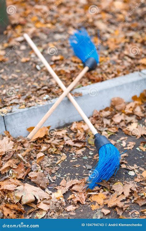 Two Brooms For Cleaning Leaves In An Autumn Park Stock Image Image