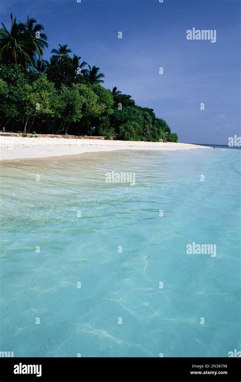 Tropical Beach Maldive Islands Stock Photo Alamy