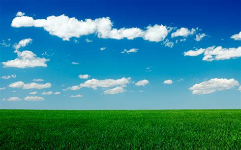 🔥 Free Download Clear Blue Sky Green Grass Field Hd Wallpaper [1920x1200] For Your Desktop