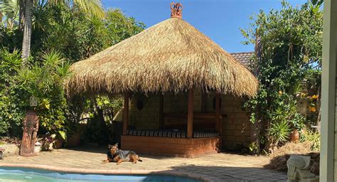 Thatched Roof Hut Installers Buy Diy Gazebo Kits In Australia