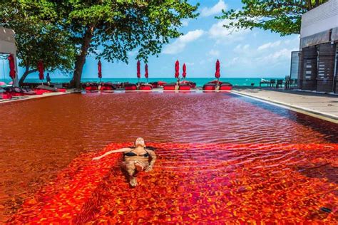 Red Pool ¿por Qué El Agua De Esta Piscina Es Roja