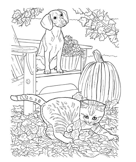 Realistic Dog And Cat Coloring Page Free Printable Coloring Pages For