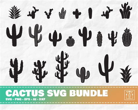 Cactus Svg Bundle Cactus Svg Cactus Clipart Cactus Cricut Etsy In