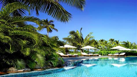 🥇 Palm Trees Swimming Pools Tropical Wallpaper 42619