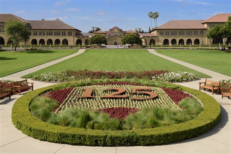 Pairing business, technology and creativity, our students he began as an artist in residence with stanford university in computer graphics and the center for university of silicon valley is a private institution and is approved to operate by the bureau for. The Oval - Stanford 125