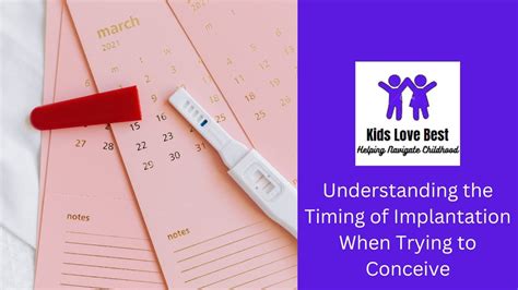 Understanding The Timing Of Implantation When Trying To Conceive Youtube
