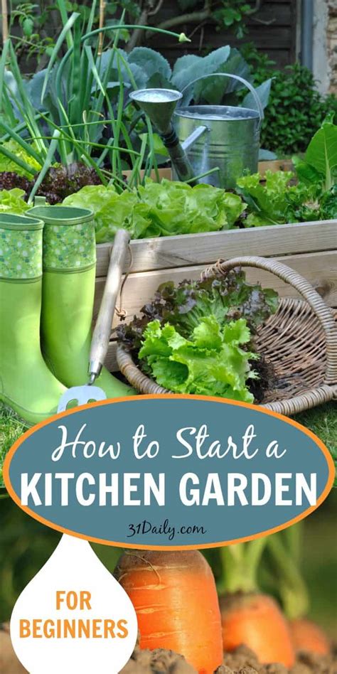 They grow very quickly and are a compact plant, so they're good for apartments or other small spaces herbs tend to like things sunny—a problem for some indoor gardens. How to Start a Vegetable Garden for Beginners - 31 Daily