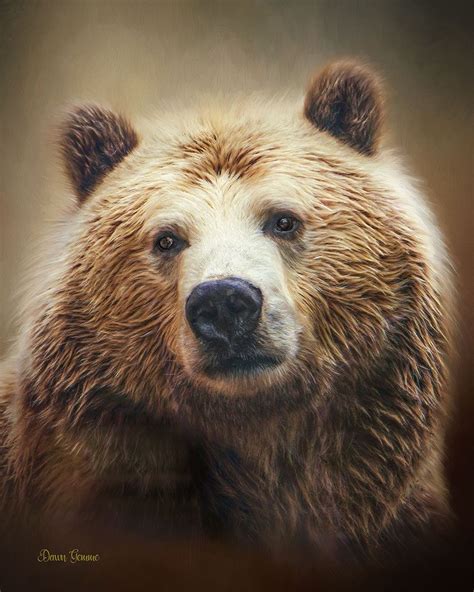 Grizzly Bear Wildlife Digital Oil Painting Wildlife All Art Bear