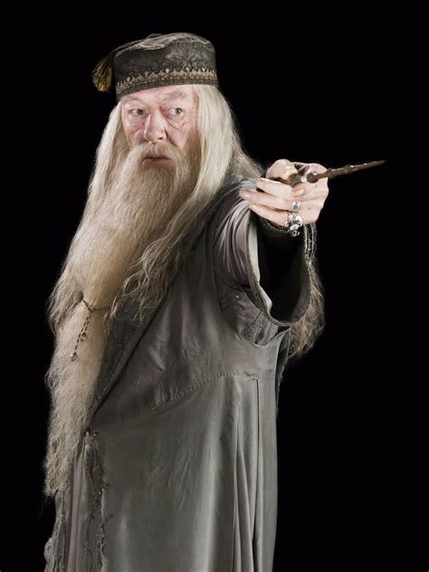 Albus Dumbledore | Harry Potter | Fandom