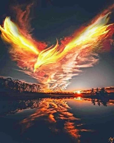 Phoenix Rising By Cobaltplasma On Deviantart Artofit