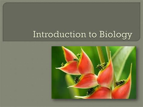 Ppt Introduction To Biology Powerpoint Presentation Free Download