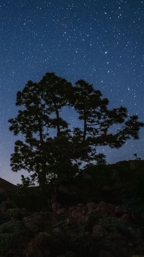 Tree Rocks Mountain Under Starry Blue Sky During Nighttime 4k Hd Nature