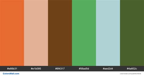 Vintage Custom Tropical Colors Palette Colorswall