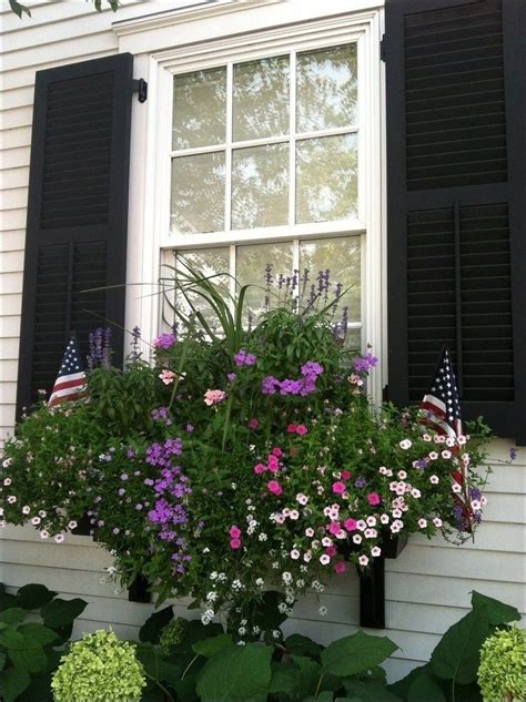 Maybe you would like to learn more about one of these? best flowers for window boxes 22 (With images) | Window ...