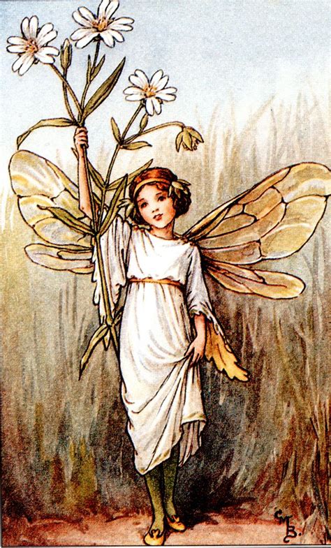 The Song Of The Stitchwort Fairy A Spring Flower Fairy Poem By Cicely