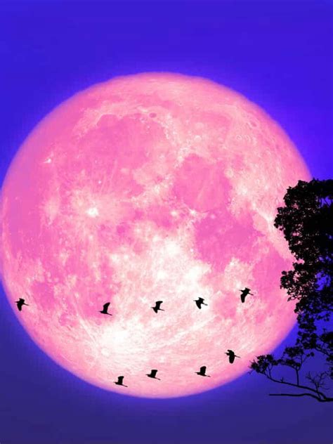 Astrologie Quels Signes Vont être Impactés Par La Pleine Lune Du