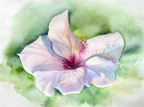 Peindre une fleur d'hibiscus aux crayons aquarellables | Dessin, Les arts, Crayons aquarelles