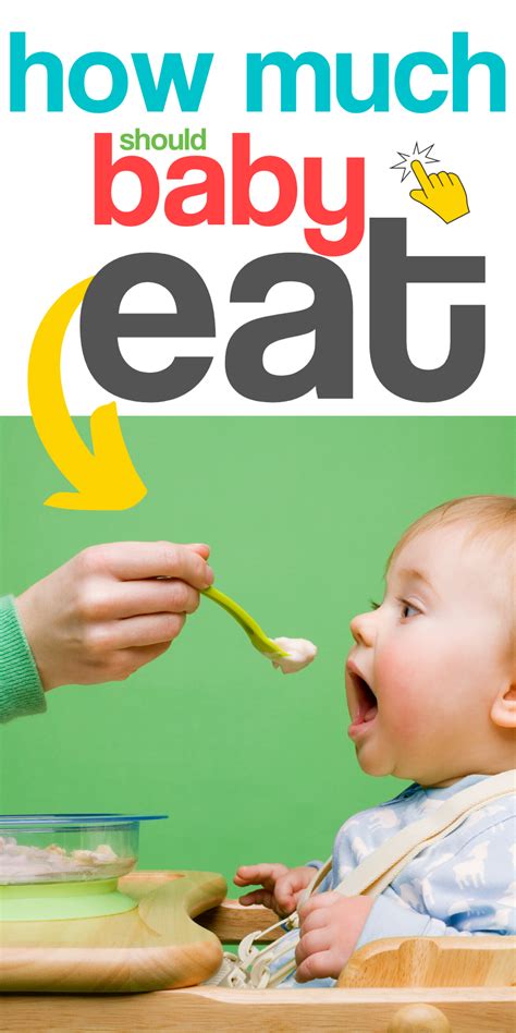 We were so concerned about how to handle our first baby. How Much Should Baby Eat? | Baby eating, How much should ...
