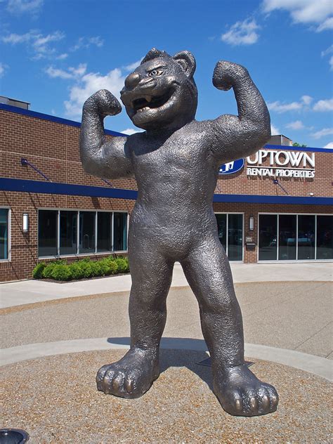 Oh Cincinnati Bearcat Bearcat Statue In Cincinnati Ohio Flickr