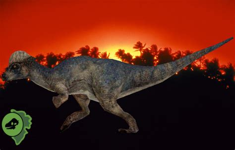 Pachycephalosaurus Wyomingensis Image The Legacy Dream Jurassic