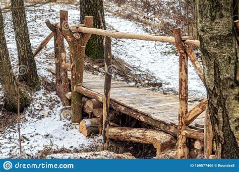 Wooden Bridge Over A Forest Stream Stock Photo Image Of Park Season