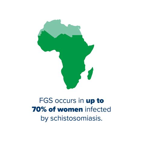 Female Genital Schistosomiasis Fgs Sci Foundation