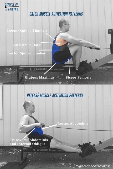Core Training For Rowing Research And Practice Rowing Stronger