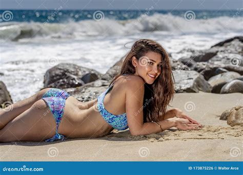 Lovely Brunette Bikini Model Relaxing On The Shoreline At The Beach Foto De Stock Imagem De