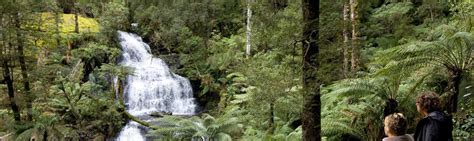 Things To Do At Great Otway National Park