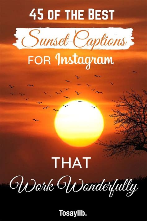 45 Of The Best Sunset Captions For Instagram That Work Wonderfully