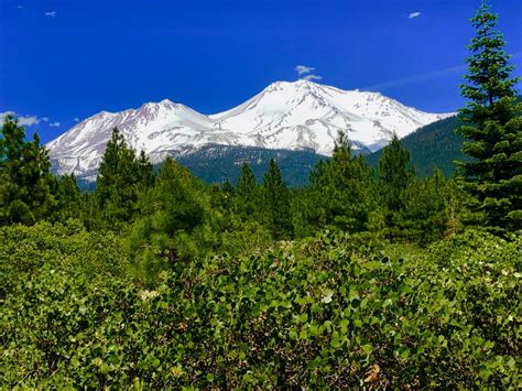 Mount Shasta Regional Outventures Grey Otter Outventures®