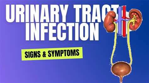 Urinary Tract Infections Uti Signs And Symptoms Youtube