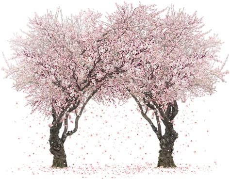 Download Sakura Trees By Rosemoji On Deviantart Svg Transparent