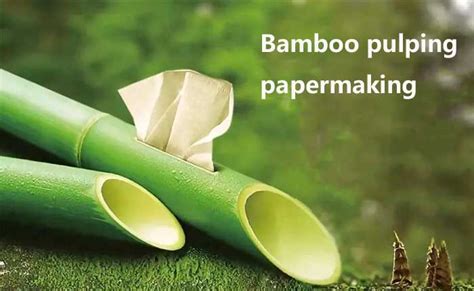 Bamboo Pulping And Papermaking The Efficient Use Of Bamboo Fiber