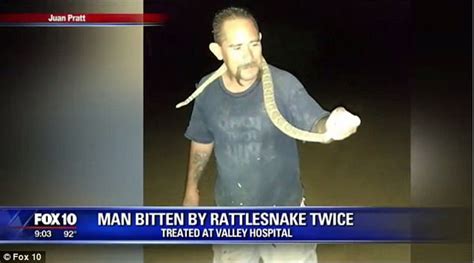 Arizona Man Gets Bitten By Rattlesnake Twice Daily Mail Online