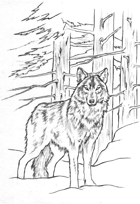 Coloriage Loup 2 Coloriage Artistique Loup Dessin Feutre Loup