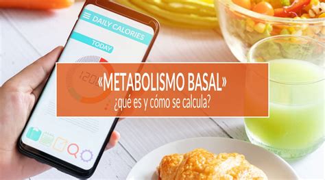 Metabolismo Basal qué es y como se calcula ICONICA Servicios Médicos