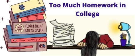 Too Much Homework In College Effects And Tips To Handle Them