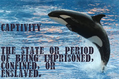 Quotes about animals in captivity. Quotes about Animals In Captivity (22 quotes)
