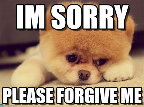 best 21 i m sorry memes so life quotes sorry memes im sorry memes im sorry cute