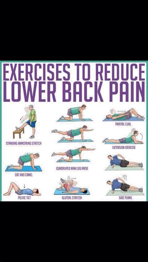 Exercises To Reduce Lower Back Pain Musely