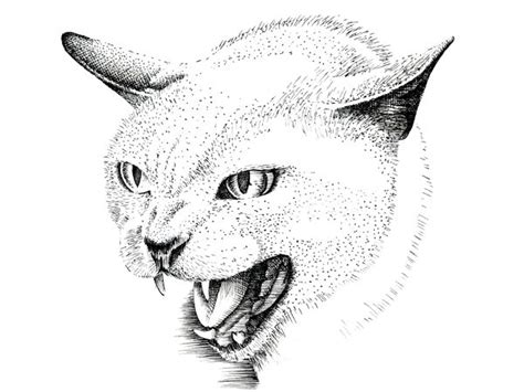 Cats may have been domesticated independently in asia minor and in northern africa as much as 6,000 years ago, perhaps choosing. How to Draw a Cat with Pen and Ink