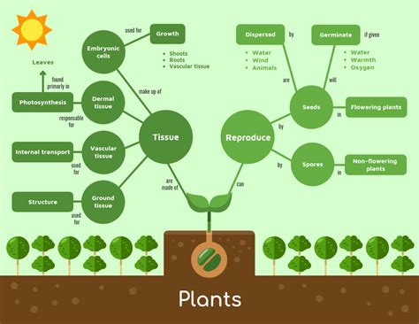 Green Plant Biology Concept Map Template Concept Map Template