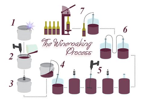 Winemaking Process Peninsula U Brew Winery Sidney Bc