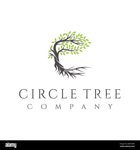 Tree And Roots Logo Design Vector Isolated Abstract Tree Logo Design