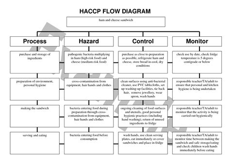 HACCP Flow Diagram Examples Food Safety Flow Chart How To Plan