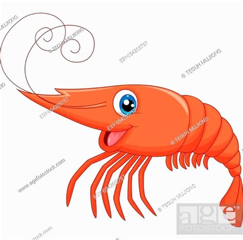 Cartoon Cute Lobster Stock Vector Vector And Low Budget Royalty Free