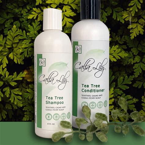 peppermint and tea tree shampoo and conditioner itchy scalp etsy