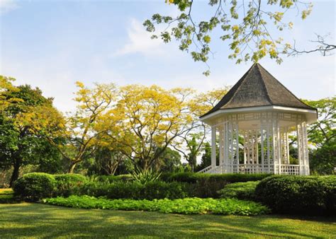 The Ultimate Guide To Singapore Botanic Gardens Honeycombers